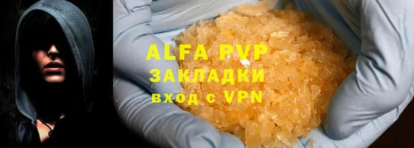 прущие грибы Аркадак