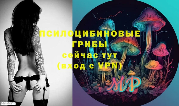 прущие грибы Аркадак