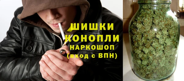 прущие грибы Аркадак