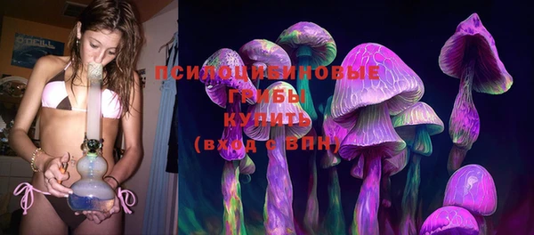 трава Армянск