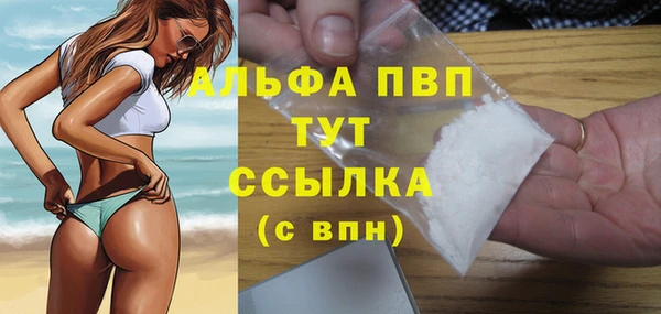 прущие грибы Аркадак