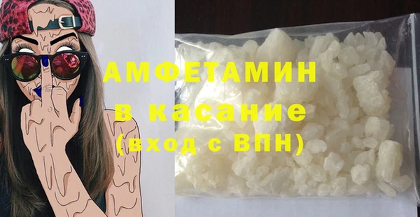 прущие грибы Аркадак