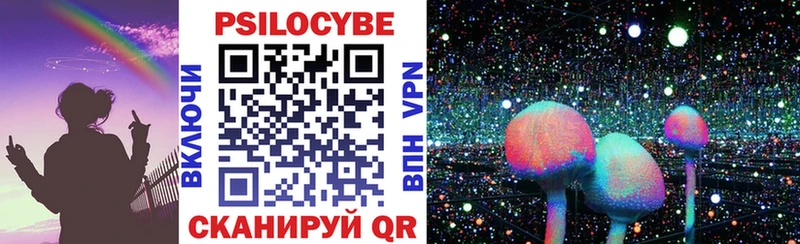 mega   Пущино  Псилоцибиновые грибы MAGIC MUSHROOMS 